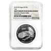 2018-W 1 oz Proof Platinum American Eagle - Life - NGC PF 69 UCAM Mint Error (Rev Struck Thru)