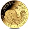 2018 Somalia 5 oz Proof Gold African Elephant 1500 Shillings In Cap