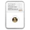 2021-W 1/10 oz $5 Proof Gold American Eagle Type 2 NGC PF 69 UCAM