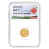 2022 Canada 1/10 oz Gold The Majestic Polar Bear Coin NGC MS 70 ER