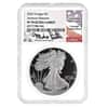 2022-S 1 oz Proof Silver American Eagle NGC PF 70 AR (Castle)