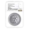 2024 1 oz Flowing Hair Silver Medal 230th Ann. NGC MS 70
