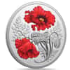 2024 Canada 1 oz Remembrance Day Colorized Silver Coin .9999 Fine