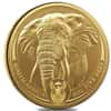 2022 South Africa 1 oz Big Five Elephant Gold Coin NGC MS 70 FDOI