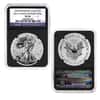 2012-S 1 oz Proof Silver Eagle 2-Coin Set NGC PF 70