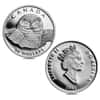 1991 Canada 1.85 oz Snowy Owl Proof Platinum 4-Coin Set (w/Box & COA)
