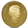 2008 Canada $300 Alberta Coat of Arms 60 gram 14 Karat Proof Gold Coin (w/Box & COA)