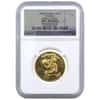 1996 1/2 oz China 50 Yuan Gold Panda NGC UNC Details