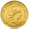 5 Pesos Argentina Gold Coin Avg Circ (1881-1969, Random Year)