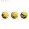 Chinese 1/2 oz Gold Panda Proof/Unc Sealed (Random Year)
