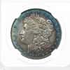 1891 Morgan Silver Dollar $1 NGC XF 45 (Toned)