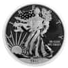 2013-W 1 oz Enhanced Silver American Eagle $1 Coin (in Cap)