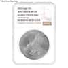 2022 1 oz Silver American Eagle NGC MS 69 Mint Error (Rev Struck Thru)