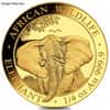 1/4 oz Somalia African Elephant Gold Coin BU/Proof (Random Year)