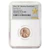 2019 W Reverse Proof Lincoln Penny Cent Comm. NGC PF 70 ER (Star Label)
