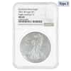2021-W 1 oz Burnished Silver American Eagle Type 2 NGC MS 69