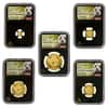 2018 1.83 oz Chinese Gold Panda 5-Coin Set NGC MS 70 FDOI (Retro, Cheng Chao Sign)