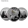 1 oz Chinese Silver Panda Random Year (Milky, Scruffy, Damaged, Cleaned)