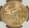 2010 1/2 oz $25 Gold American Eagle NGC MS 70 