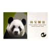 2020 China 10 x 4 gram Silver National Treasure Panda Stamp Set