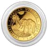 2017 Somalia 1 oz Gold African Elephant BU 1000 Shillings (In Capsule)