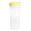 Tube of 25 - 2027 1 oz Canadian Silver Maple Leaf Coin BU