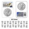 Lot of 20 - 2025 1 oz Silver American Eagle NGC MS 70 ER Mountain Label