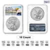 Lot of 10 - 2021 1 oz Silver American Eagle Type 2 NGC MS 70 ER (Eagle Label)