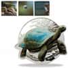 2021 1 oz Colorized Silver Galapagos Tortoise Solomon Islands $2 Coin .9999 Fine (w/Box & COA)