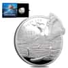 2021 2 oz Silver Great White Shark - Ocean Predators Solomon Islands $5 Coin .9999 Fine