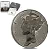2019-W 1 oz Reverse Proof Palladium American Eagle $25 Coin (Scruffy, w/Box & COA)