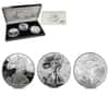 2006 W/P 1 oz Silver American Eagle 3-Coin Set - 20th Anniversary (w/Box & COA)