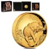 2022 1 oz Proof Gold Australian Koala High Relief Coin Perth Mint .9999 Fine (w/Box & COA)