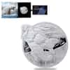2021 2 oz Silver Polar Bear - Ocean Predators Solomon Islands $5 Coin .9999 Fine (w/Box & COA)
