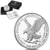 2021-S 1 oz Proof Silver American Eagle Type 2 (w/Box & COA)