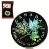2001 1/4 oz Canadian Gold Maple Leaf $10 Hologram Coin