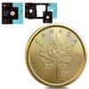 2022 1/10 oz Canadian Treasured Gold Maple Leaf $5 Coin BU - Congratulations