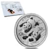 2022 1 gram Chinese Platinum Panda 40th Ann Privy 30 Yuan .999 Fine BU