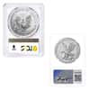 MILKY - 1 oz Silver American Eagle NGC/PCGS MS 70 (Random Year)