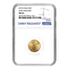 2019 1.85 oz Gold American Eagle 4-coin Set NGC MS 69 Early Releases