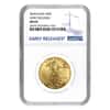 2019 1.85 oz Gold American Eagle 4-coin Set NGC MS 69 Early Releases