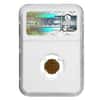 1915 S Panama Pacific Gold $1 Commemorative Coin NGC MS 65