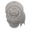 2017 1 oz Palau Pirate Skull High Relief Antiqued Silver Coin $5 .999 Fine (w/Box)