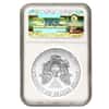 2011 (S) 1 oz Silver American Eagle $1 Coin NGC MS 69 ER (SF Label)