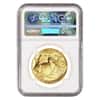 2019 1 oz Gold American Buffalo NGC MS 70 Early Releases (Buffalo Label) 