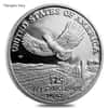 1/4 oz Proof Platinum American Eagle In Cap (Random Year)