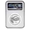 2018-W 1 oz Proof Platinum American Eagle - Life - NGC PF 70 UCAM