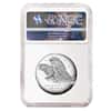 2017 P 1 oz American Liberty High Relief Proof Silver Medal NGC PF 70 Early Releases