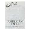1999-P 1 oz Proof Silver American Eagle (w/Box & COA)