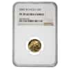 2002 W 1/10 oz $5 Proof Gold American Eagle NGC PF 70 UCAM